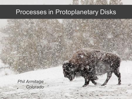 Processes in Protoplanetary Disks Phil Armitage Colorado.