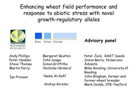 Enhancing wheat field performance and response to abiotic stress with novel growth-regulatory alleles Andy Phillips Peter Hedden Steve Thomas Martin Parry.