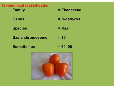 Taxonomical classification