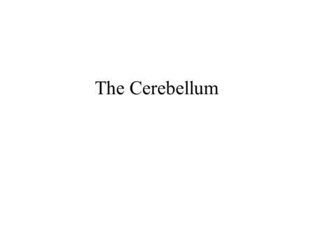 The Cerebellum.