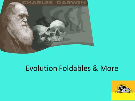 Evolution Foldables & More