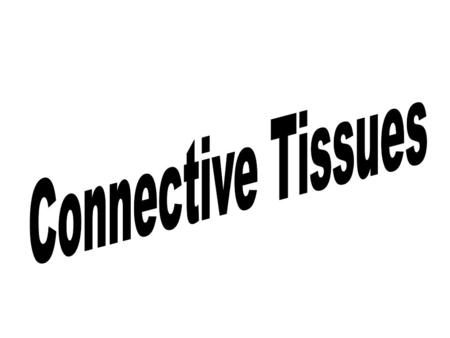 Connective Tissue Found everywhere in the body; most abundant and widely distributed of the primary tissues The dense layer of the basement membrane of.
