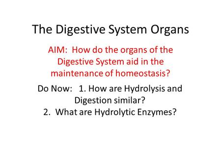 The Digestive System Organs
