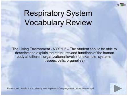 Respiratory System Vocabulary Review The Living Environment - NYS 1.2 – The student should be able to describe and explain the structures and functions.