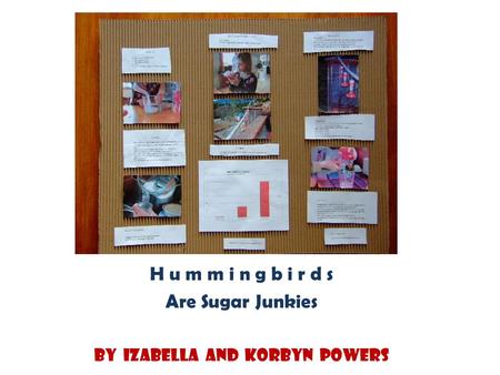 H u m m i n g b i r d s Are Sugar Junkies By Izabella and Korbyn Powers.