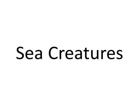 Sea Creatures crab dolphin turtle fish.