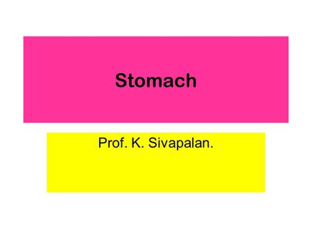 Stomach Prof. K. Sivapalan.. 2013Stomach2 Stomach.