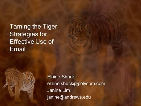 Taming the Tiger: Strategies for Effective Use of  Elaine Shuck Janine Lim