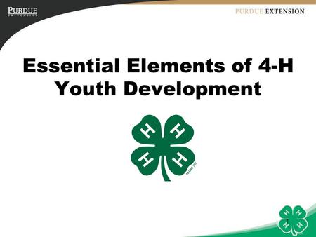 Essential Elements of 4-H Youth Development