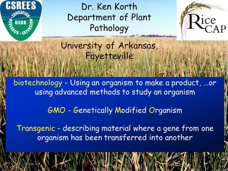 Biotechnology - Using an organism to make a product, …or using advanced methods to study an organism GMO - Genetically Modified Organism Transgenic - describing.