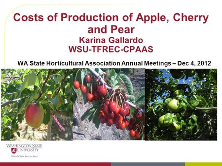 Costs of Production of Apple, Cherry and Pear Karina Gallardo WSU-TFREC-CPAAS WA State Horticultural Association Annual Meetings – Dec 4, 2012.