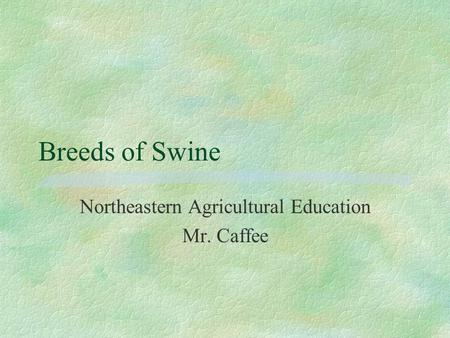 Breeds of Swine Northeastern Agricultural Education Mr. Caffee.