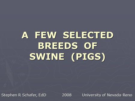 A FEW SELECTED BREEDS OF SWINE (PIGS) Stephen R Schafer, EdD 2008 University of Nevada-Reno.