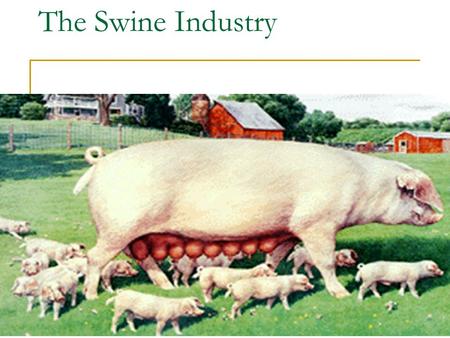 The Swine Industry.