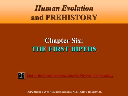 COPYRIGHT © 2008 Nelson Education Ltd. ALL RIGHTS RESERVED. Human Evolution and PREHISTORY Link to the Canadian Association for Physical Anthropology Link.