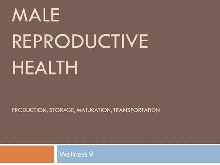 Male Reproductive Health Production, Storage, maturation, transportation Wellness 9.