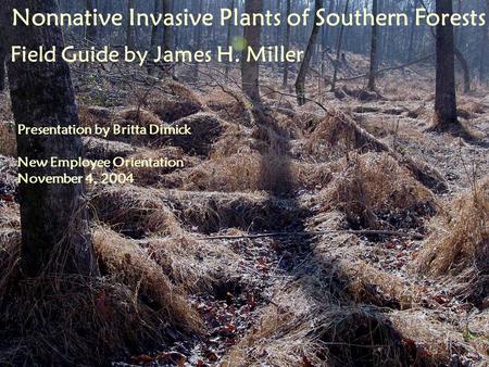 Nonnative Invasive Plants of Southern Forests