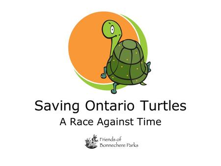Saving Ontario Turtles A Race Against Time. Species at Risk (SAR) Categories: Extinct Extirpated Endangered (Regulated) Endangered (Not Regulated) Threatened.