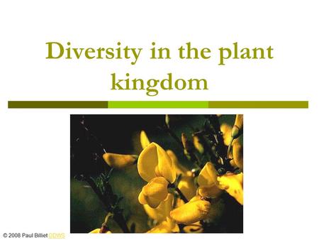 Diversity in the plant kingdom © 2008 Paul Billiet ODWSODWS.