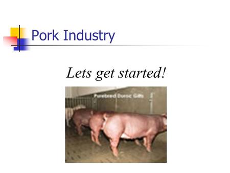 Pork Industry Lets get started!. TERMS TO KNOW Sow- Mature Female pig Boar- Male pig Barrow – castrated male pig Piglet- Young pig Gilt – Immature female.