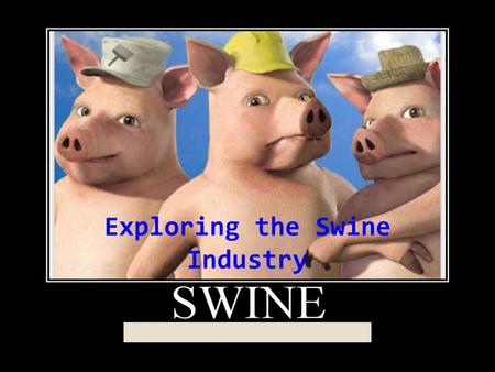 Exploring the Swine Industry