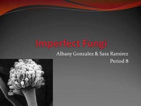 Albany Gonzalez & Sara Ramirez Period 8