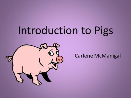 Introduction to Pigs Carlene McManigal. Gender Clarification A female pig who has never given birth to piglets is called a gilt. An unneutered male pig.