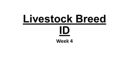 Livestock Breed ID Week 4. Berkshire Origin – County seat of the shire of Berks in England Use – Pork Color/marking Black White tip on tail White from.