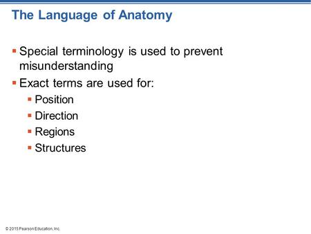 The Language of Anatomy