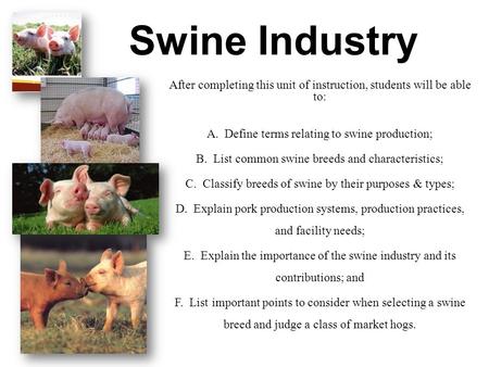Swine Industry After completing this unit of instruction, students will be able to: A. Define terms relating to swine production; B. List common swine.