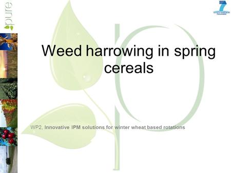 Weed harrowing in spring cereals WP2, Innovative IPM solutions for winter wheat based rotations.