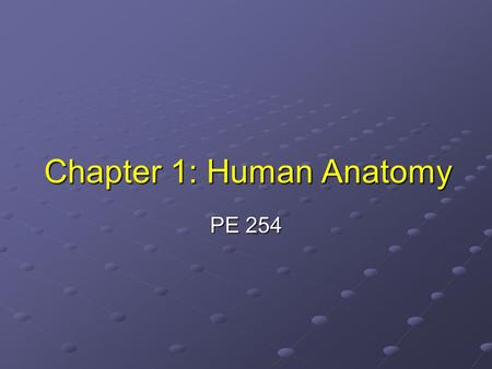 Chapter 1: Human Anatomy PE 254. Systems CardiovascularRespiratoryDigestiveNervousEndocrineSkeletalMuscular.
