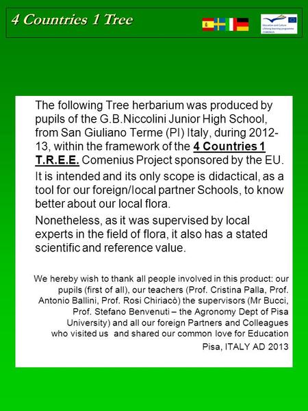 4 Countries 1 Tree The following Tree herbarium was produced by pupils of the G.B.Niccolini Junior High School, from San Giuliano Terme (PI) Italy, during.