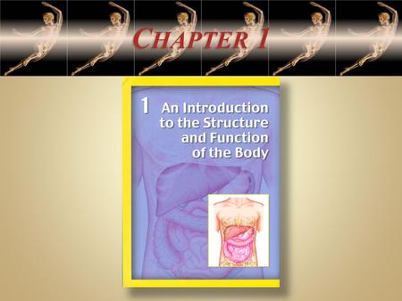 C HAPTER 1. O BJECTIVES : 1. Define the following terms: anatomy, physiology, and pathology 2. List and discuss in order of increasing complexity the.