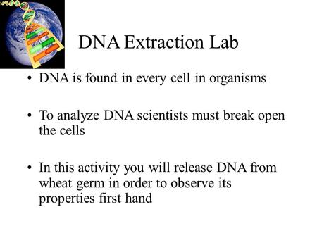 DNA Extraction Lab DNA is found in every cell in organisms