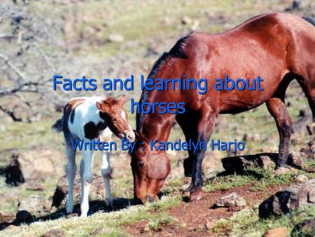 Facts and learning about horses Written By : Kandelyn Harjo.
