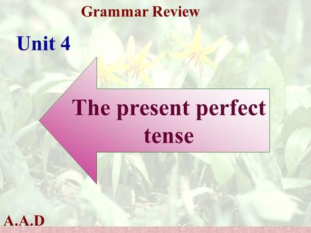 A.A.D Grammar Review Unit 4 The present perfect tense.