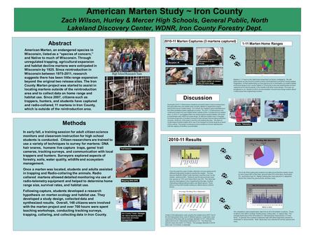 American Marten Study ~ Iron County Zach Wilson, Hurley & Mercer High Schools, General Public, North Lakeland Discovery Center, WDNR, Iron County Forestry.