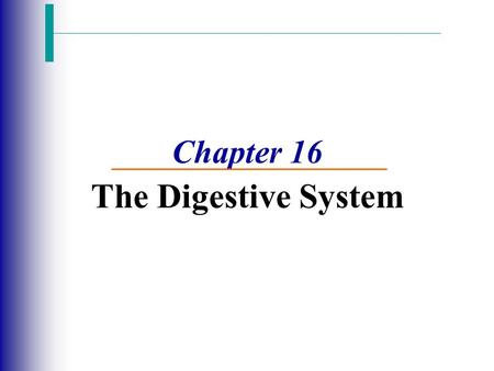 Chapter 16 The Digestive System