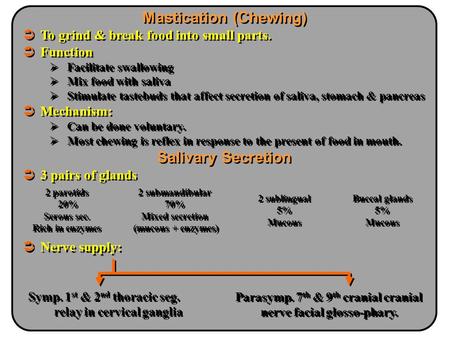 Mastication (Chewing) Salivary Secretion