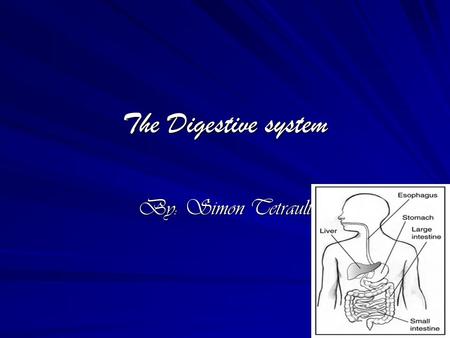The Digestive system By: Simon Tetrault. Bibliography  ch?sourceid=navclient&aq= &oq=mechanical+digestion &ie=UTF- 8&rlz=1T4DMUS_enUS209.