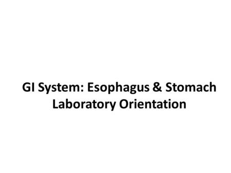 GI System: Esophagus & Stomach Laboratory Orientation.