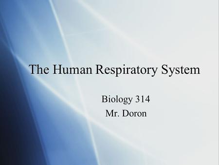 The Human Respiratory System Biology 314 Mr. Doron Biology 314 Mr. Doron.