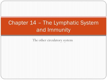 Chapter 14 – The Lymphatic System and Immunity