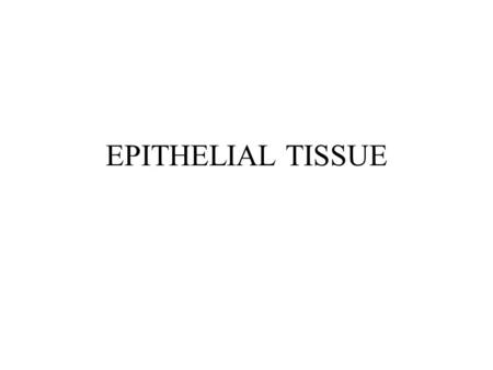 EPITHELIAL TISSUE. Tissue - group of cells with similar structure and function 4 types –Epithelial –Connective –Muscular –Nervous Organs contain several.