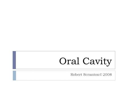 Oral Cavity Robert Scranton© 2008. The Tissues Lining Mucosa Masticatory Mucosa  NKSS (nonkeratinized stratified squamous)  Lamina Propria- loose CT.