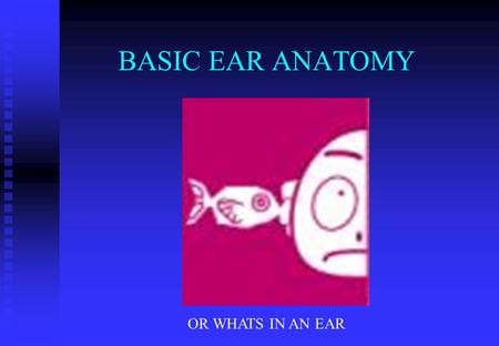 BASIC EAR ANATOMY OR WHATS IN AN EAR. BASIC EAR ANATOMY EXPECTED OUTCOMES EXPECTED OUTCOMES  TO UNDERSTAND THE HEARING MECHANISM  TO BE ABLE TO IDENTIFY.