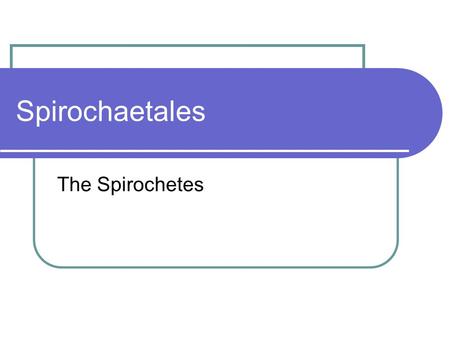 Spirochaetales The Spirochetes.