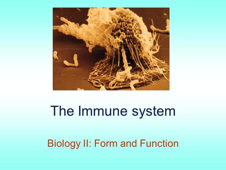 The Immune system Biology II: Form and Function. The Immune System Nonspecific defense mechanisms –Physical barriers (skin, mucous membranes –Internal.