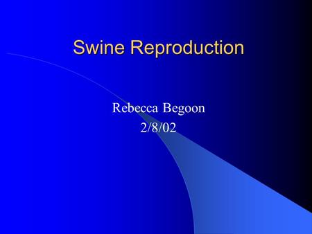 Swine Reproduction Rebecca Begoon 2/8/02. What is the point? Why are we learning about swine reproduction? We need to breed the gilts in the barn We will.